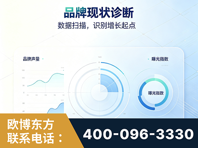 兴化-品牌现状诊断