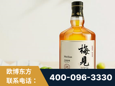 兴化-梅见青梅酒